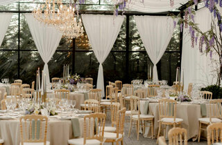 1580-mm_02941.jpeg 1580-mm_02941.jpeg