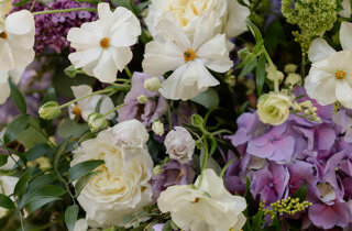 592-dsc_1860.jpeg 592-dsc_1860.jpeg