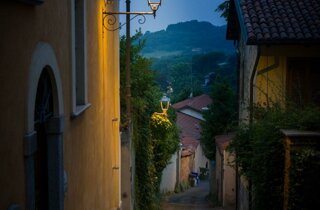 whatsapp image 2025-07-27 at 17.48.16 (2).jpeg