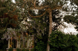 1804-dsc_5693.jpeg 1804-dsc_5693.jpeg