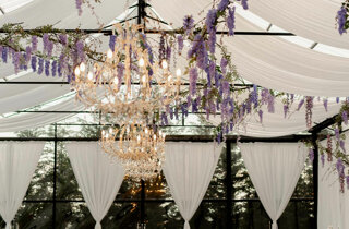 1581-mm_02943.jpeg 1581-mm_02943.jpeg