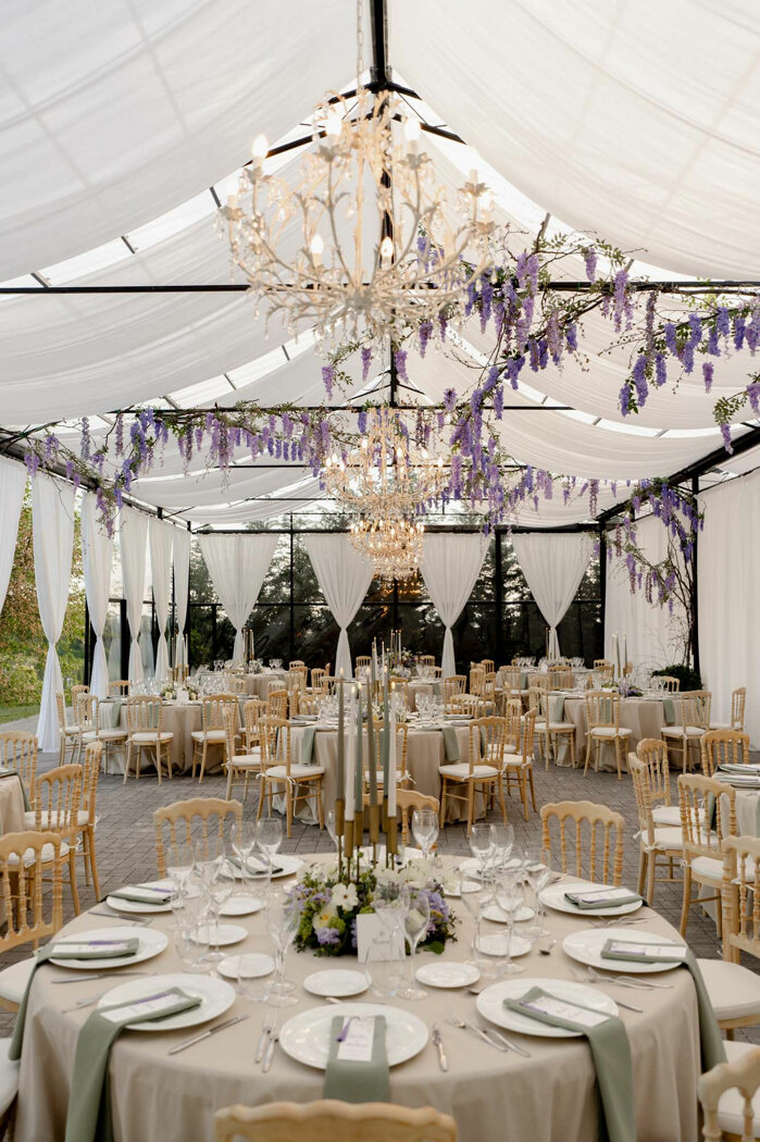 1580-mm_02941.jpeg 1580-mm_02941.jpeg