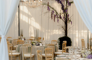 498-dsc_3756.jpeg 498-dsc_3756.jpeg