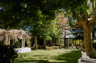 1231-dsc_4866.jpeg 1231-dsc_4866.jpeg