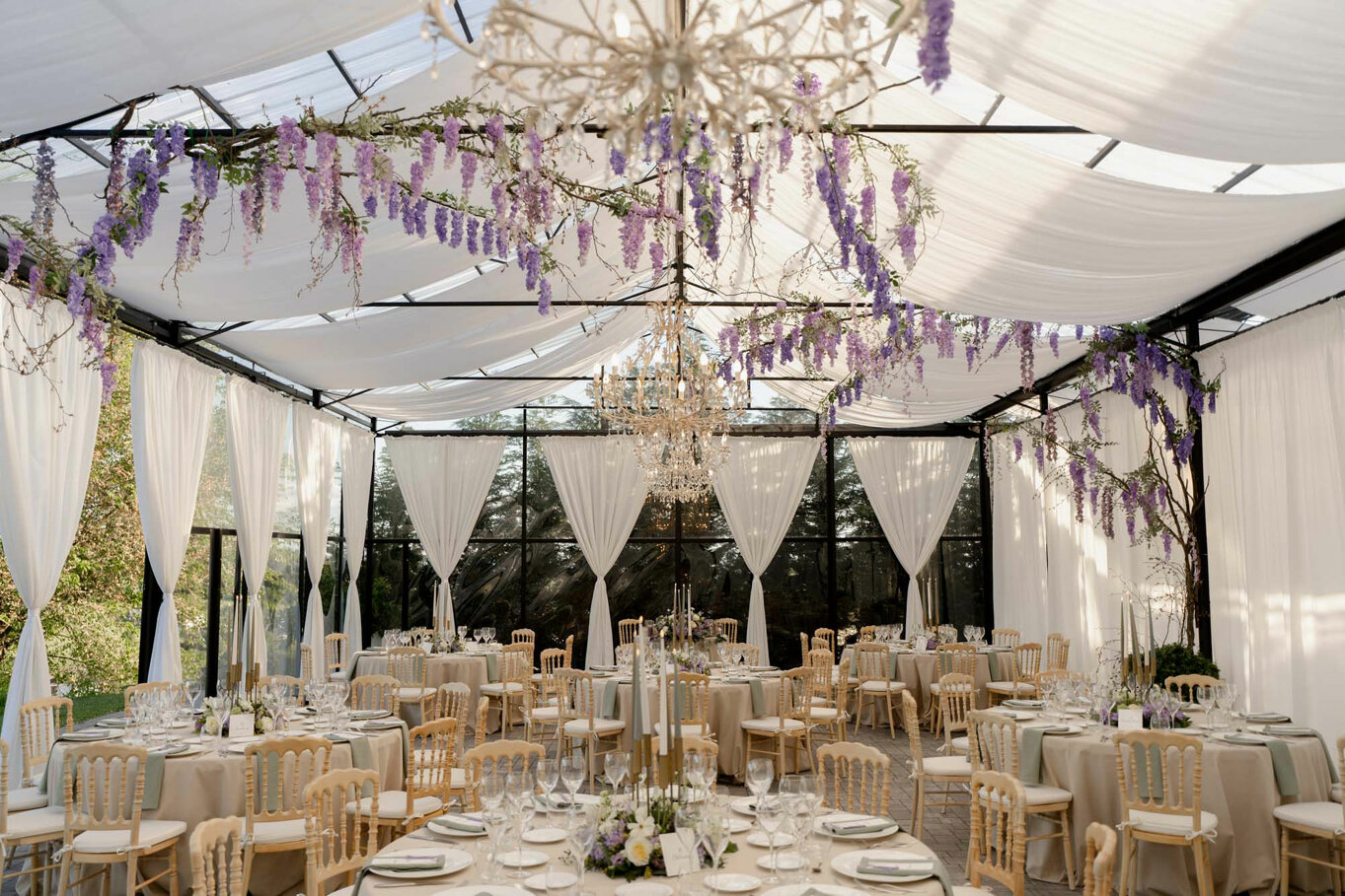 1631-mm_02969.jpeg 1631-mm_02969.jpeg