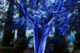 whatsapp%20image%202025-03-24%20at%2014.11.08(1).jpeg whatsapp%20image%202025-03-24%20at%2014.11.08(1).jpeg