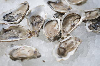 m.%20331.jpeg m.%20331.jpeg