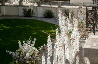 477-dsc_1821.jpeg 477-dsc_1821.jpeg