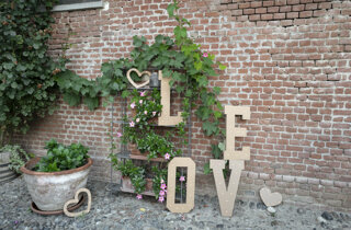 1599-mo_05418.jpeg 1599-mo_05418.jpeg