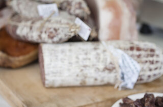 m.%20355.jpeg m.%20355.jpeg