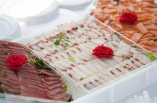 m.%20358.jpeg m.%20358.jpeg