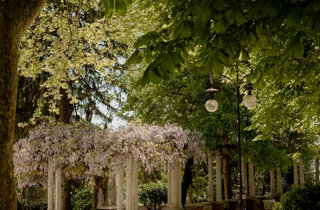 520-mo_03166.jpeg 520-mo_03166.jpeg