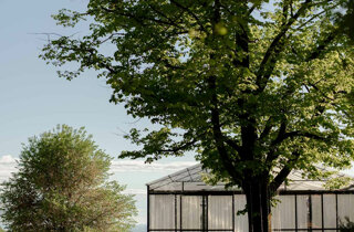 1938-mo_06089.jpeg 1938-mo_06089.jpeg