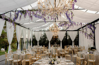 1584-mo_05384.jpeg 1584-mo_05384.jpeg