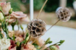 whatsapp%20image%202025-03-24%20at%2013.59.01.jpeg whatsapp%20image%202025-03-24%20at%2013.59.01.jpeg