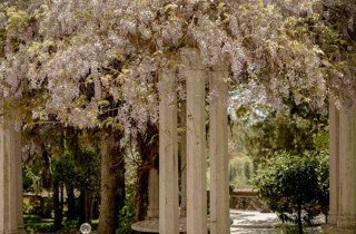 483-dsc_3741.jpeg 483-dsc_3741.jpeg