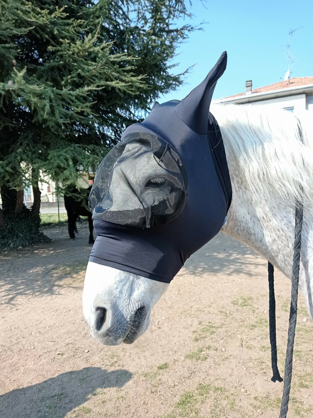 copia rete cob da usare.jpeg