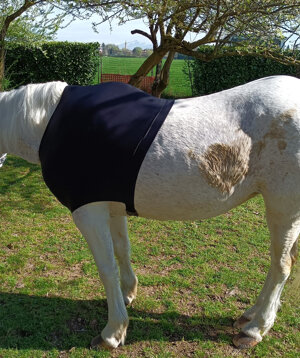 under-rughoulder-protector-for-horsesponies-anti-abrasion