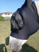 fly-mask-for-horsesponies-with-eye-protection