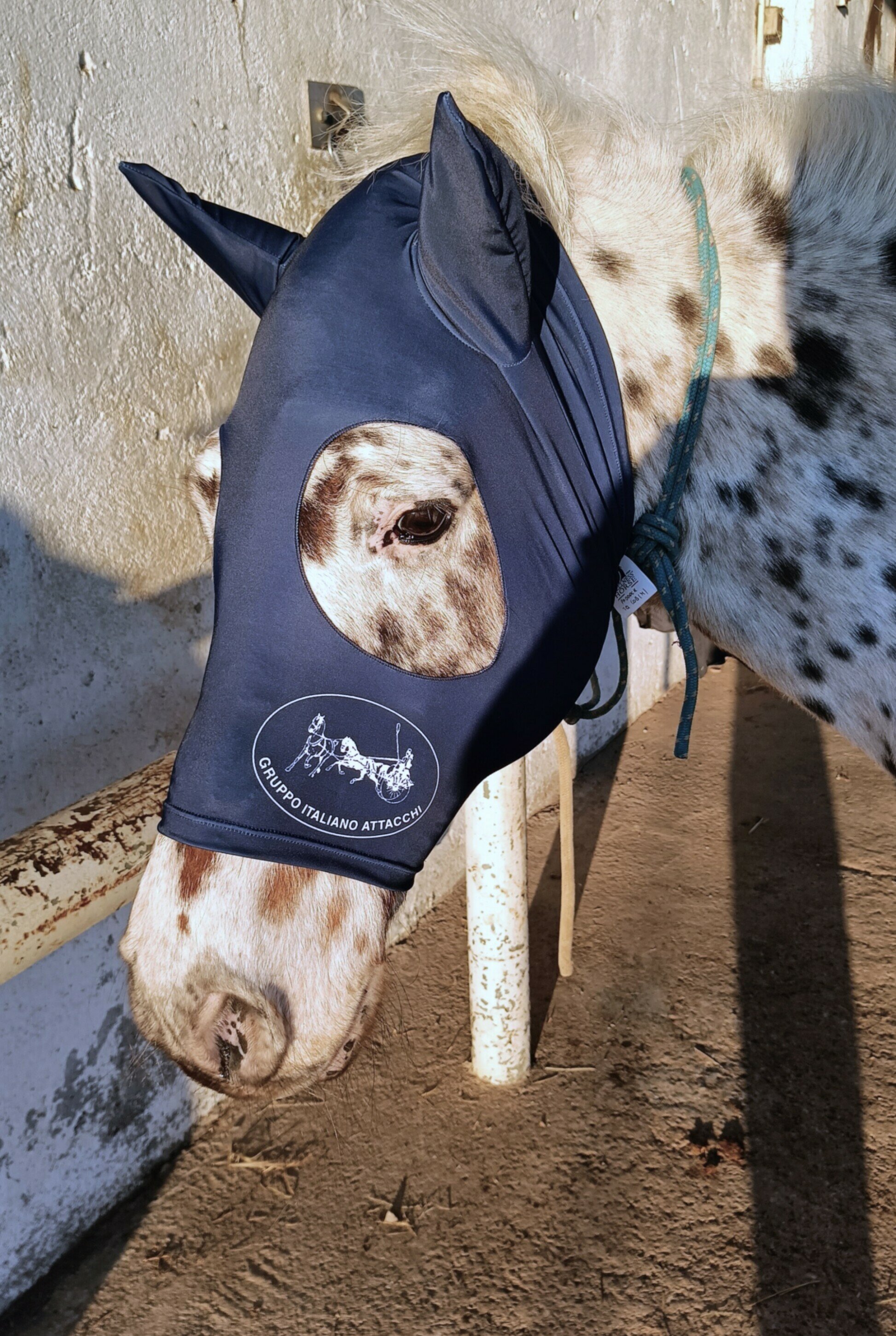 From handmade to performance: the personalized detail on request.