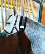 horse-fleece-snood-thermal-neck-warmer