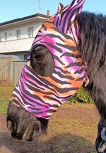 fly-mask-for-horsesponies-with-ears