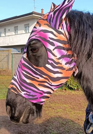 fly-mask-for-horsesponies-with-ears
