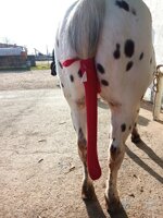 tail-bag-in-lycra-fabric-one-piece-or-patchwork