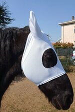 fly-mask-in-txt-fabric-for-horsesponies-with-ears