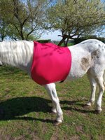 under-rughoulder-protector-for-horsesponies-anti-abrasion