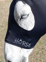 fly-mask-customizable-for-horsesponies-with-name-in-strass-or-studs