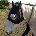 horse-mask-bio-titanium-therapeutic