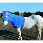 under-rug-anti-abrasion-for-horsesponies-with-hood