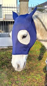 fly-mask-in-txt-fabric-for-horsesponies-with-ears
