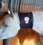 horse-100-neoprene-snood-professional-sweat-wrap