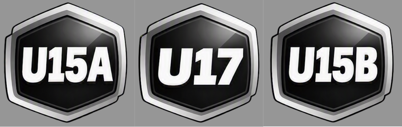 Pubblicati i calendari: inizia la nuova stagione per U17 e U15!