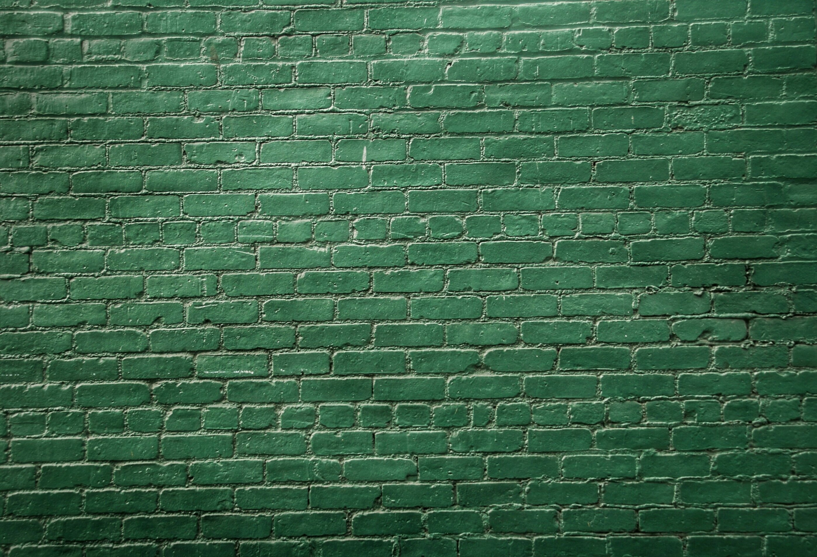 robert-anasch-u6aqyn1tmse-unsplash.jpeg robert-anasch-u6aqyn1tmse-unsplash.jpeg