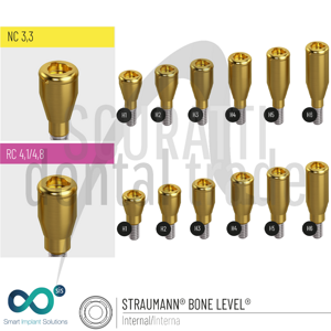 Siscator Abutment compatibile Locator per Straumann Bone