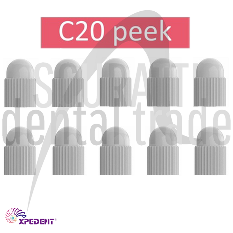 PEEK Replacement Tips C20Peek 10 pcs for C20 Ultrasonic