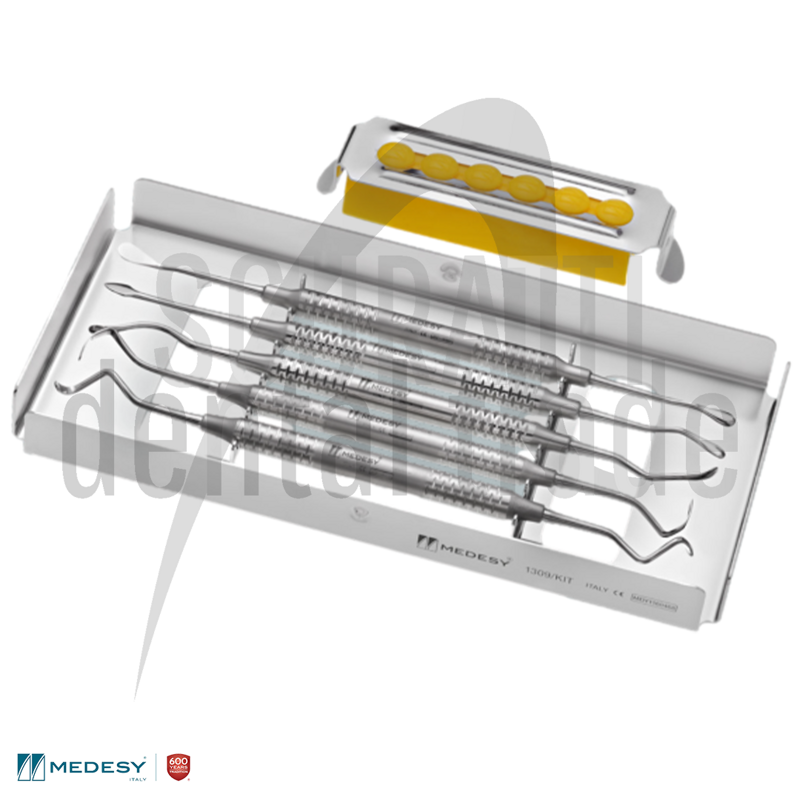 1309/KITSet Strumenti Chirurgici Rialzo Seno Mascellare – Scollatori Schneider