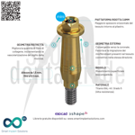 straight-mini-mua-mis-seven-compatible-anti-peri-implant