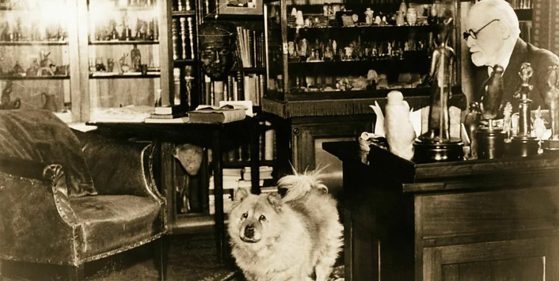 e50147_880aa45c0d7c4109b073013d6c5c86a1~mv2.jpeg e50147_880aa45c0d7c4109b073013d6c5c86a1~mv2.jpeg