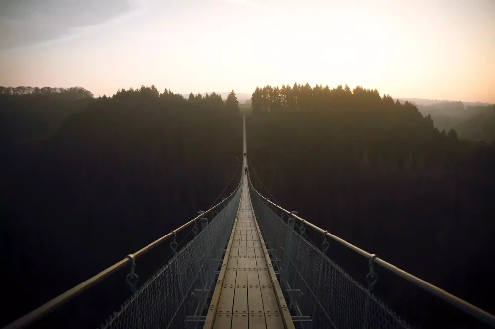 Rappresentazione percorso psicoterapia