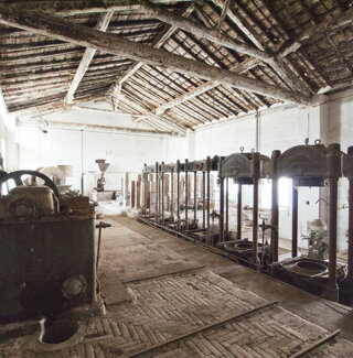 _1060244.jpeg _1060244.jpeg