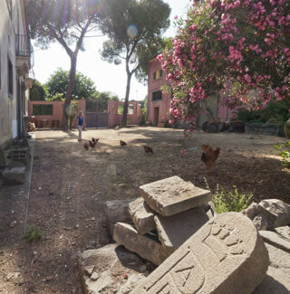 _1060237.jpeg _1060237.jpeg