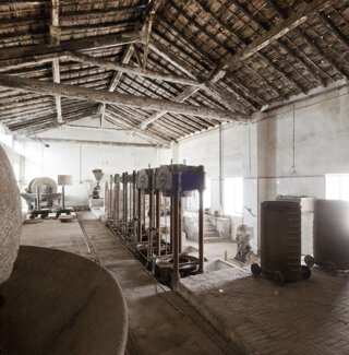 _1060260.jpeg _1060260.jpeg