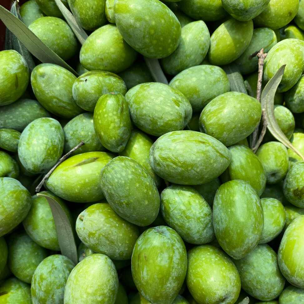 9ea70a80-5f7c-4bb0-bab3-6b37ae8c4c00.jpeg 9ea70a80-5f7c-4bb0-bab3-6b37ae8c4c00.jpeg