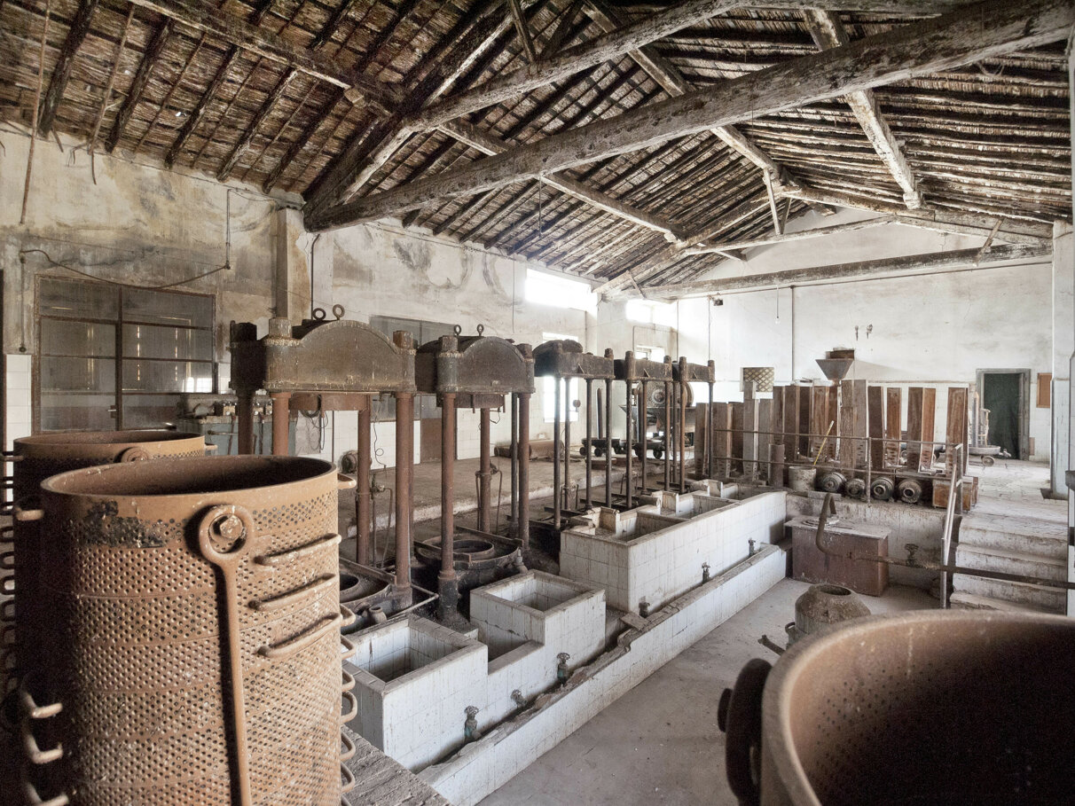 _1060036.jpeg _1060036.jpeg