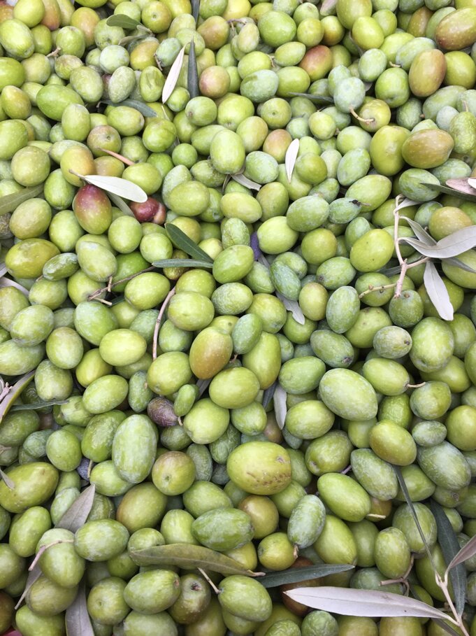 img_e2628.jpeg img_e2628.jpeg