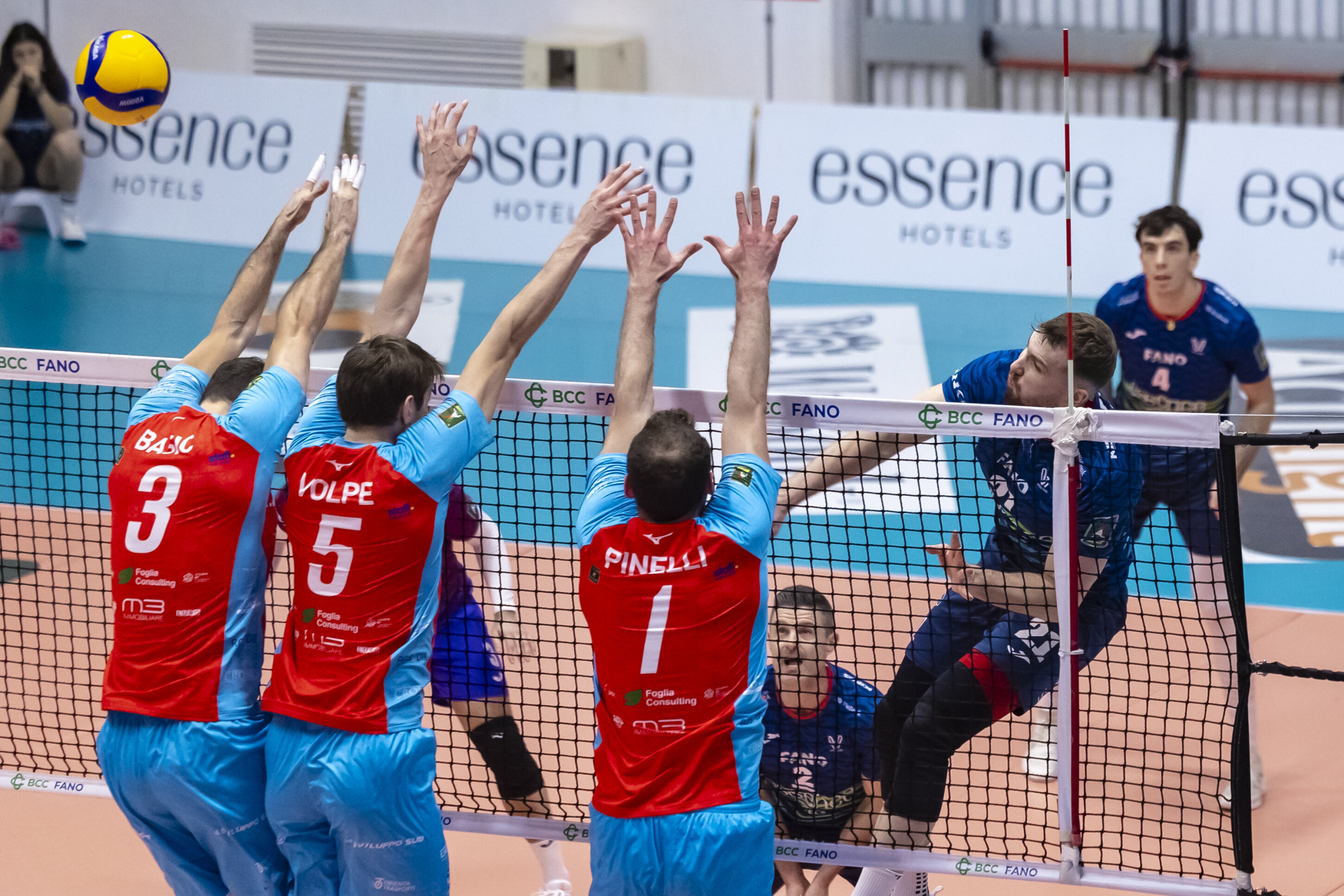 _mg_8753.jpeg _mg_8753.jpeg